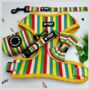 Multi Coloured Stripe Dog Harness Set, thumbnail 8 of 8