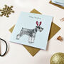 Festive Miniature Schnauzer Christmas Card, thumbnail 2 of 2