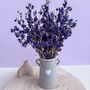 Blue Dried Delphiniums With Vase Gift, thumbnail 3 of 4