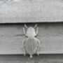 Beetle Insect Mobile, Metal Art For Home And Garden, thumbnail 10 of 10