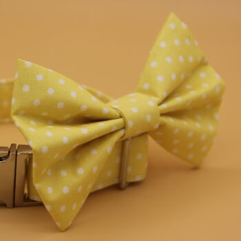 Yellow Polkadot Dog Bow Tie, 5 of 6