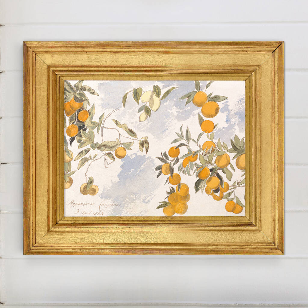 Antique Oranges Watercolour Print Framed Or Unframed, 1 of 12