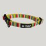 Multi Coloured Stripe Dog Collar And Lead, thumbnail 2 of 8