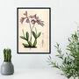 Purple Orchid Wall Art Botanical Print Frame, thumbnail 1 of 4