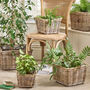 Mitchell Boho Rattan Planter, thumbnail 1 of 5