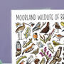 Moorland Wildlife Of Britain Greeting Card, thumbnail 5 of 8