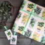 House Plant Gift Wrapping Paper Set, thumbnail 2 of 6