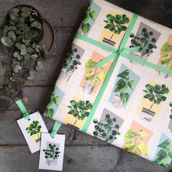 House Plant Gift Wrapping Paper Set, 2 of 6