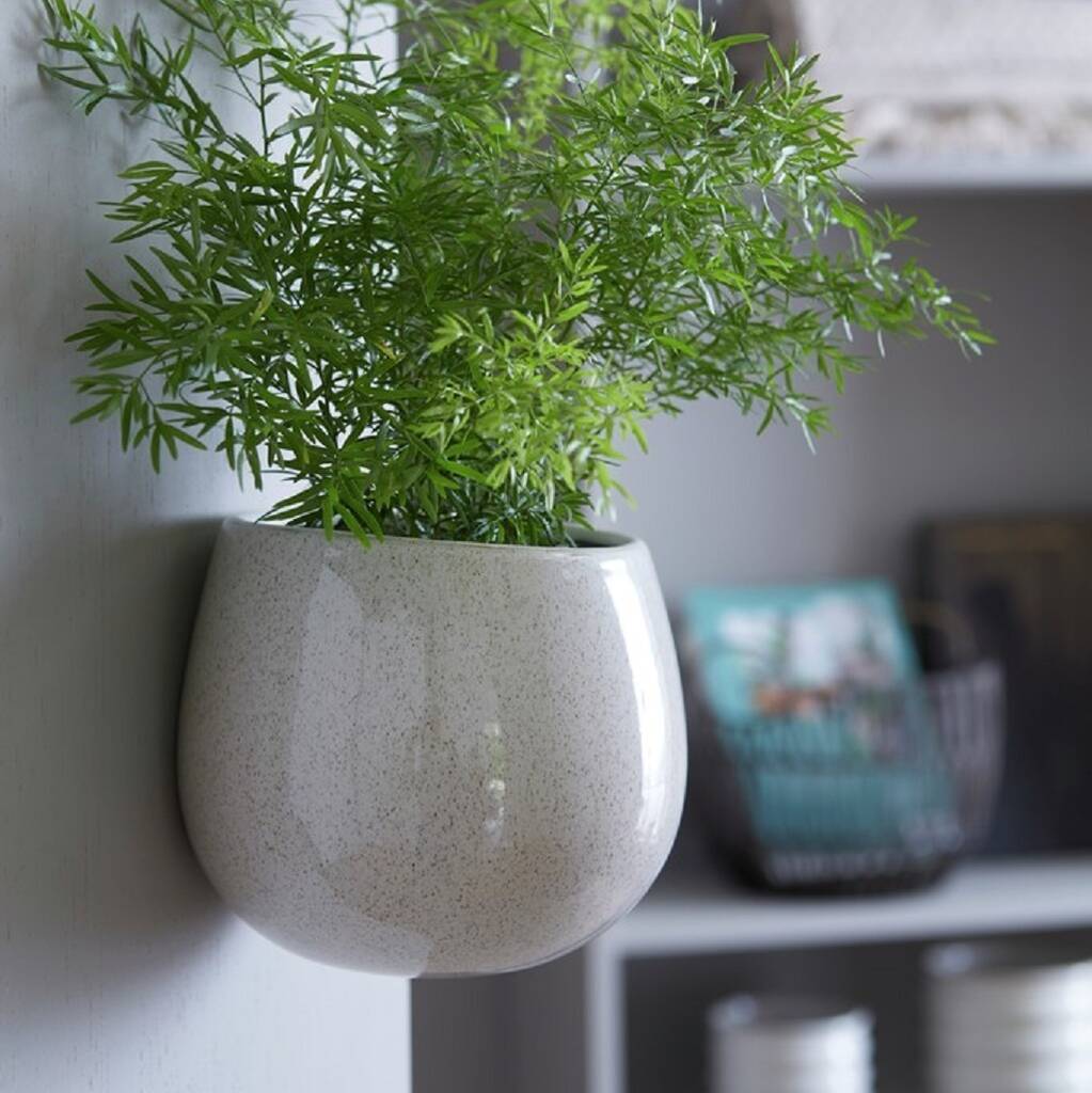 ceramic glazed wall planter by marquis & dawe