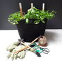 Grow Your Own Herbs Gardening Gift Set, thumbnail 1 of 7