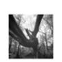 Fallen Tree, Thornham Walks Photographic Art Print, thumbnail 3 of 4