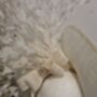 Ivory Hat With Feather Detail, thumbnail 5 of 5