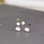 Sterling Silver Oval Opal Stud Earrings, thumbnail 2 of 7