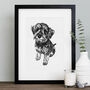 Vintage Style Crosshatch Illustration Of Your Pet, thumbnail 3 of 7