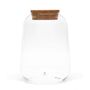Lantern Stype Terrarium Jar | H: 21 Cm, thumbnail 1 of 4