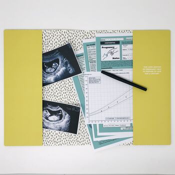 Pregnancy Notes Folder, 2 of 12