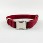 Luxury Cranberry Herringbone Dog Collar, thumbnail 2 of 11