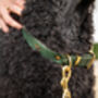 Personalised Padded Luxury Leather Dog Collar, thumbnail 3 of 12