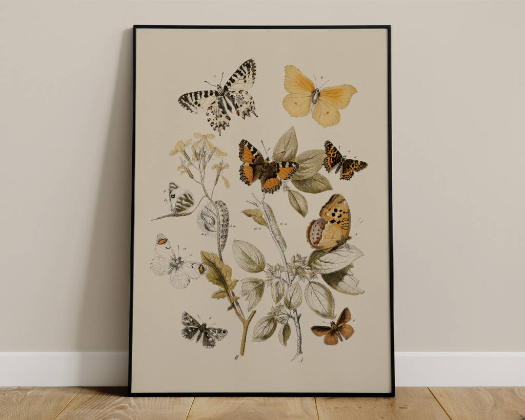 Botanical Butterfly Art Print By Norfolk Print Collective