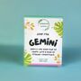 Gemini Birthday Gift Funny Soap For Gemini Zodiac Gift, thumbnail 1 of 6