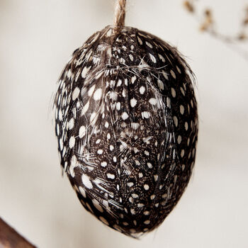 Set Of Three Hanging Eggs With Feathers, 4 of 6