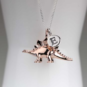 Personalised Stegosaurus Necklace, 10 of 12