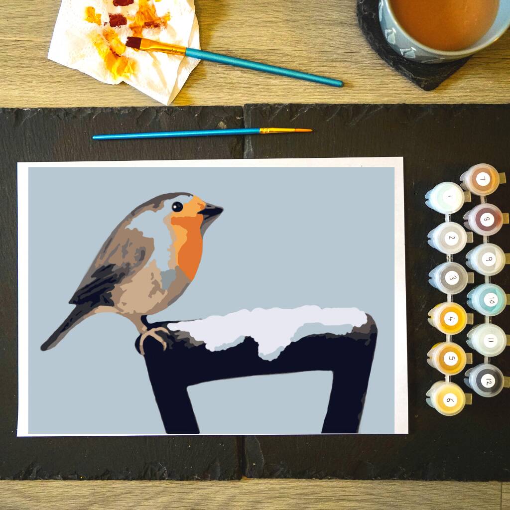 Robin Painting By Numbers Kit, 1 of 2