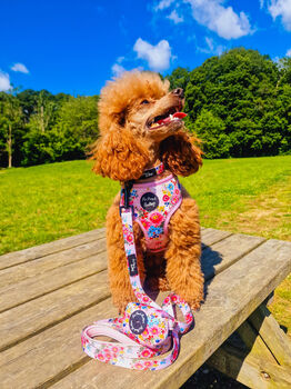 Cottage Floral Dog Harness, 6 of 7