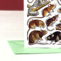 Small Mammals Of Britain Greeting Card, thumbnail 5 of 7