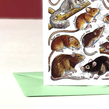 Small Mammals Of Britain Greeting Card, 5 of 7