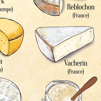 Cheese Alphabet, A Z Of Cheese, Cheese Art, 9 of 11