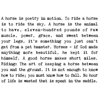 Equine Enthusiast Horse Quotes Card, 2 of 4