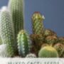 Personalised Percy Pricklebum. Grow Your Own Cacti Kit, thumbnail 6 of 6