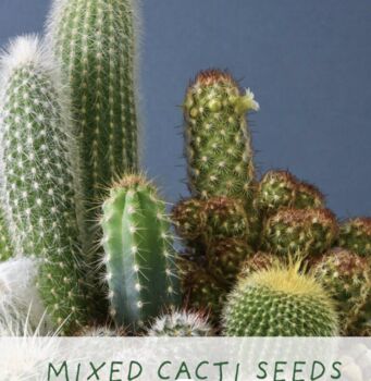 Personalised Percy Pricklebum. Grow Your Own Cacti Kit, 6 of 6