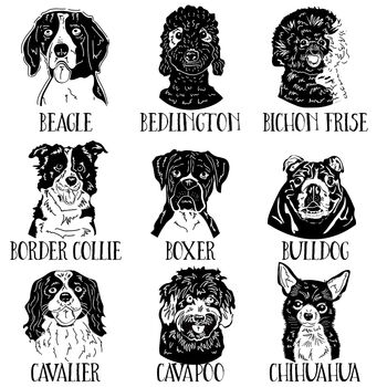 Dog Tea Towel With Lino Cut Image Gift For Dog Lover, 5 of 10