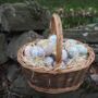 The Country Basket, thumbnail 7 of 7