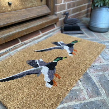 Flying Duck Doormat And Boot Brush Set, 5 of 8