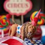 Personalised Circus Lion Cake Topper, thumbnail 5 of 5