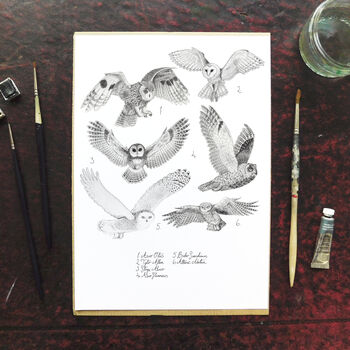 Parliament Of Owls Art Print, 6 of 7