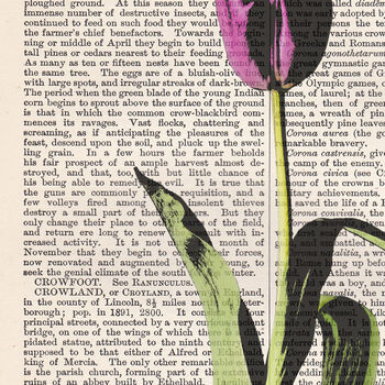 Tulip, Vintage Collection Print, 2 of 4