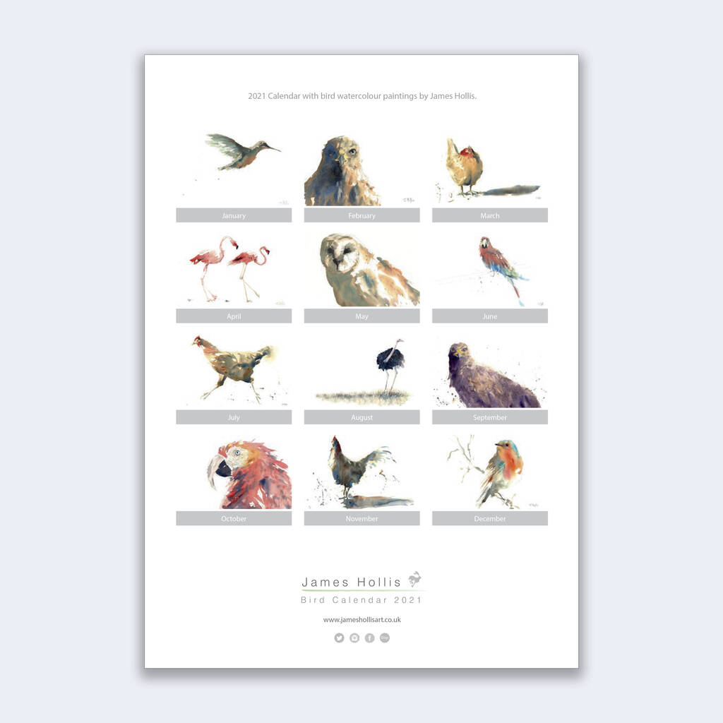 2021 Bird Calendar By James Hollis Art