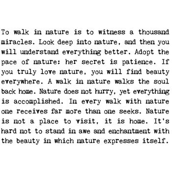 Nature Lover Inspiring Quotes Card, 2 of 5
