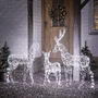 Duchy Dual Colour Micro LED Light Up Reindeer Family, thumbnail 3 of 4
