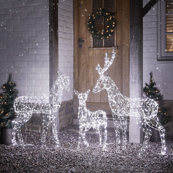 Duchy Dual Colour Micro LED Light Up Reindeer Family, 3 of 4