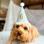 Pet Party Hat, thumbnail 3 of 6