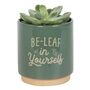 Green Plant Pot Uplifting Gift, thumbnail 2 of 4