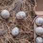 Box Of 60 Quail Egg's White Marbled, thumbnail 3 of 5