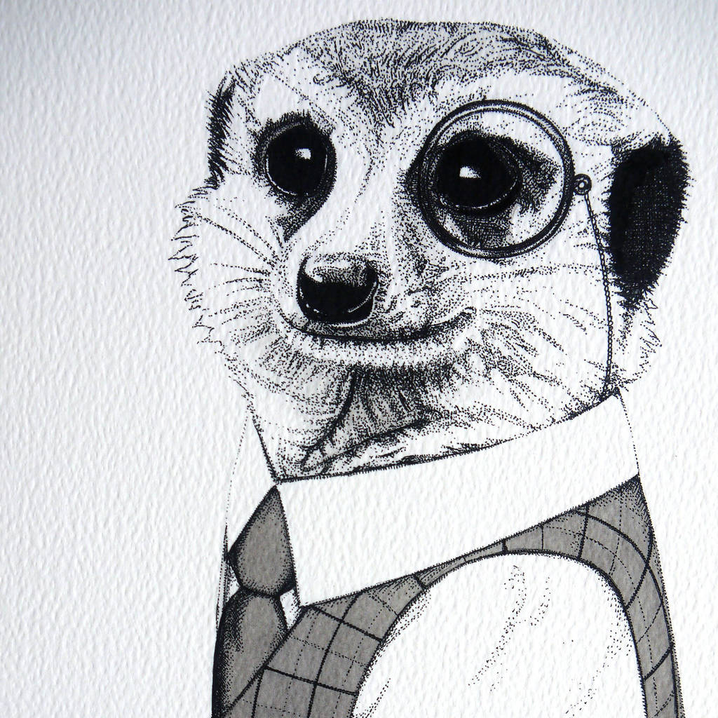 Meerkat In A Waistcoat A3 Giclée Print By Amelia Illustration