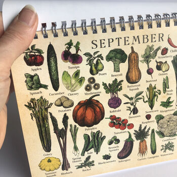 Fruit And Vegetable Desk Calendar, UK Version, 11 of 12