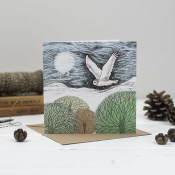 'Christmas In Flight' Mixed Pack Of 10 Cards, 3 of 10